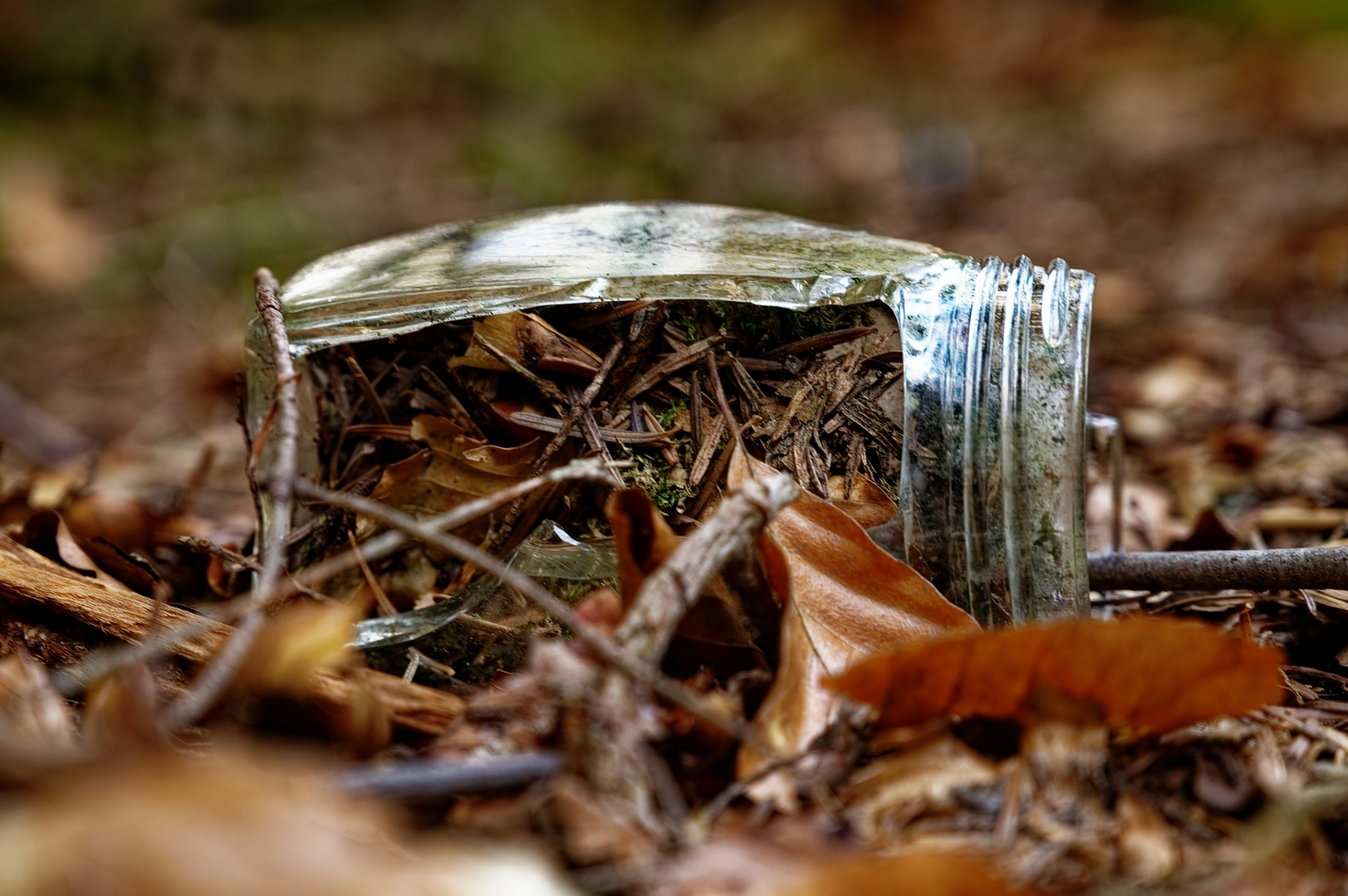 Müll im Wald