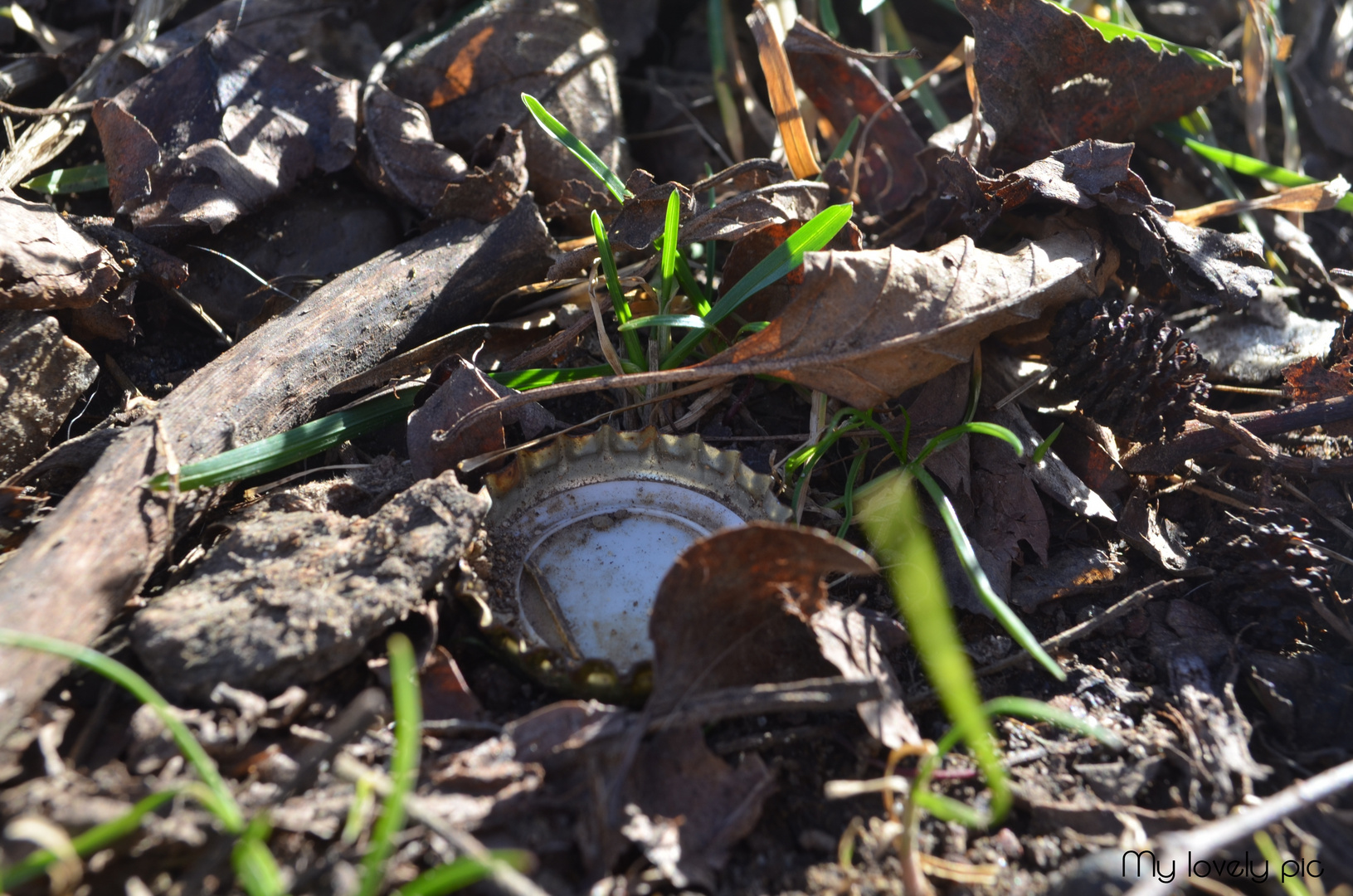 Müll in der Natur