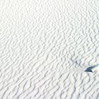 Müll in White Sands NP