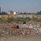 Müll, Müll, überall Müll- die Kuh scheint's aber nicht zu stören