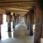 muelle bahia de kino, sonora. mexico