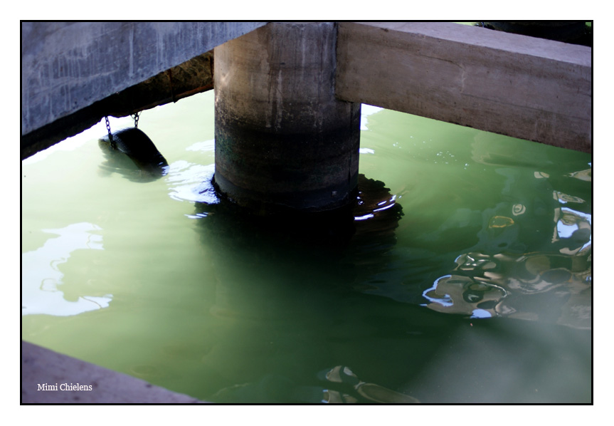 Muelle cimiento