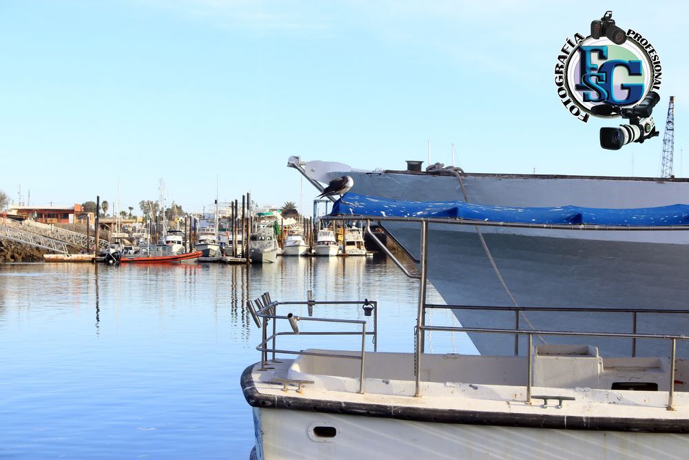 muelle de cabotaje puerto peñasco