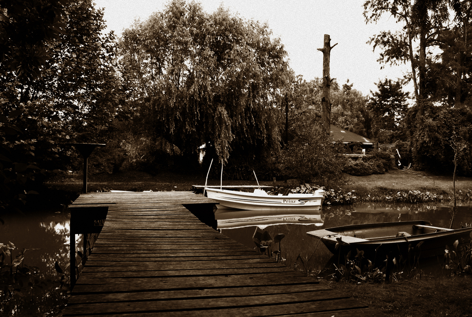 Muelle de madera en El Delta