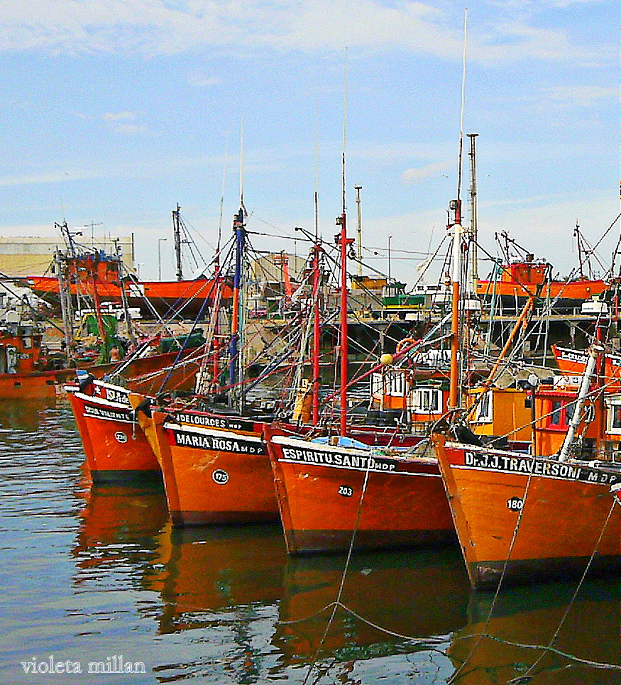 MUELLE DE PESCADORES,CIUDAD DE MAR DEL PLATA