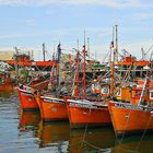 MUELLE DE PESCADORES,CIUDAD DE MAR DEL PLATA