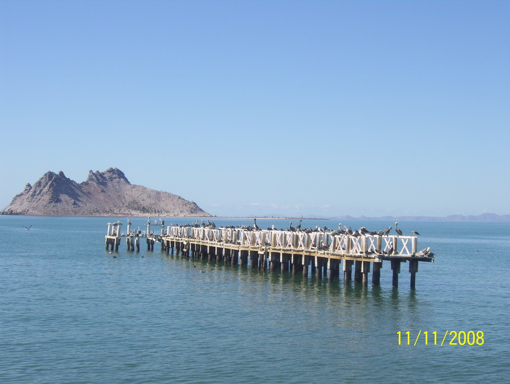 Muelle en bahia Kino Sonora, Mexico.