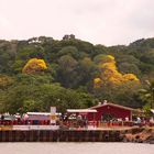 Muelle Industrial de Gamboa - Panama