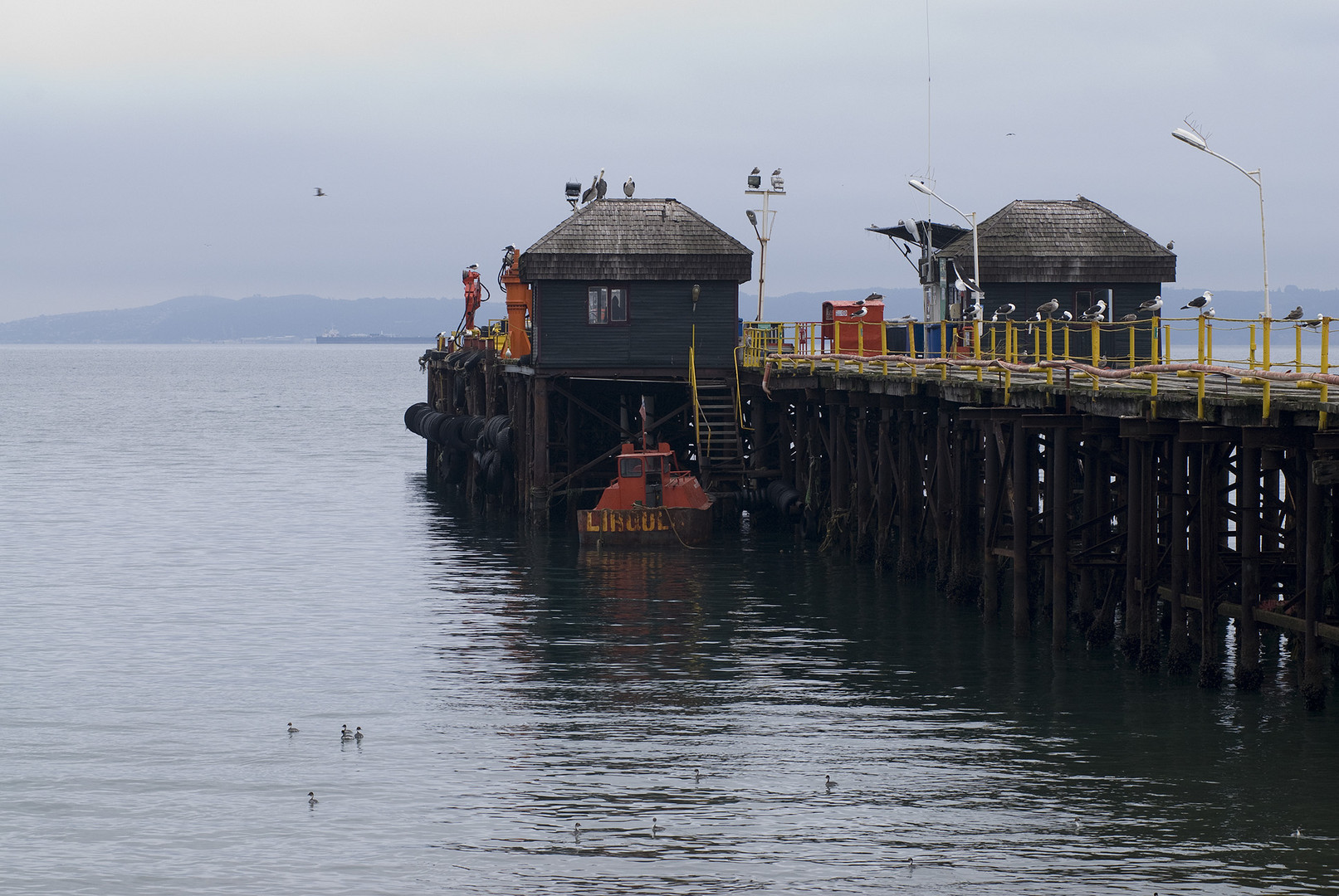 Muelle Tomecino