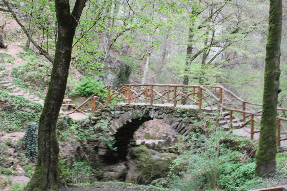 Müllerthal 5 Chiesentümpel 2 Brücke Luxembourg