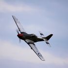 Müllheim, Modelflugtag, MFM, P-51 MUSTANG 44-2840, Miss Montana