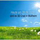 Müllheim Sonne und  30 Grad