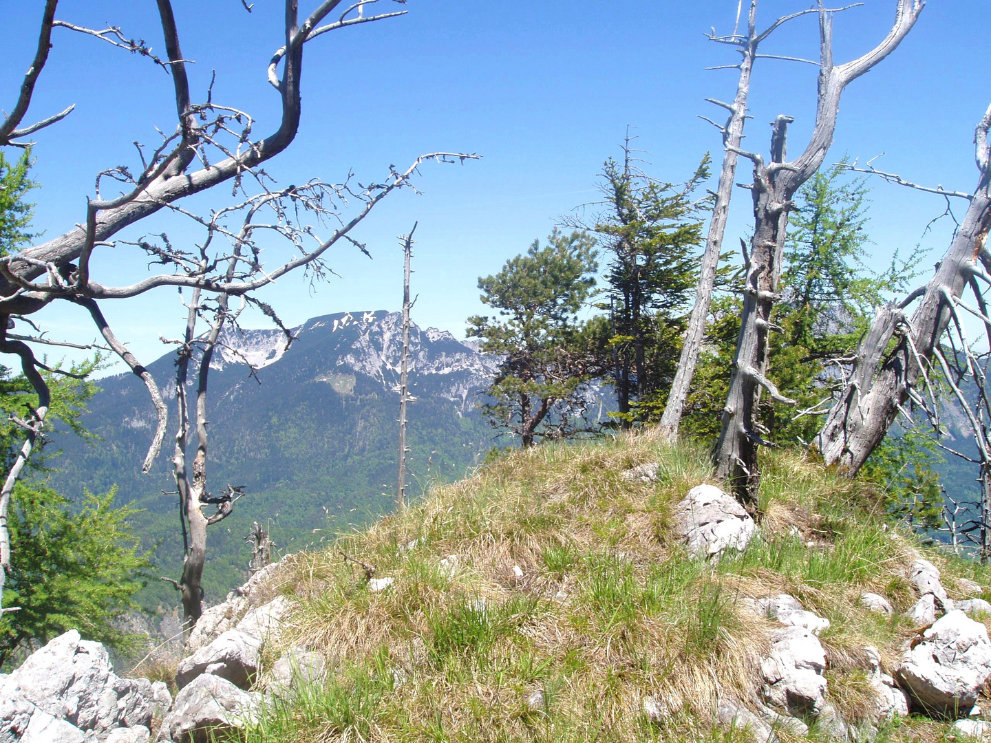 Müllnerberg, Bad Reichenhall