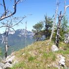 Müllnerberg, Bad Reichenhall