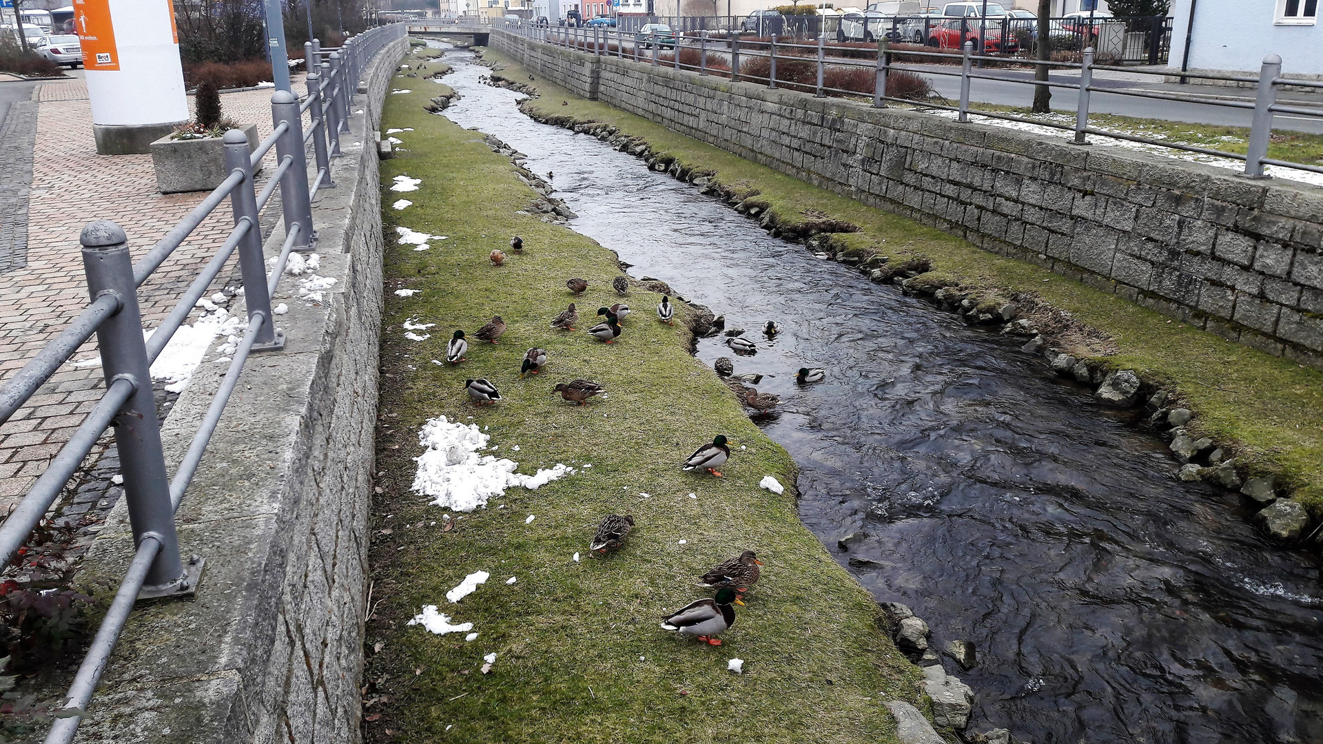 Münchberg Fluss Pulschnitz Renaturierung 