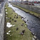 Münchberg Fluss Pulschnitz Renaturierung 