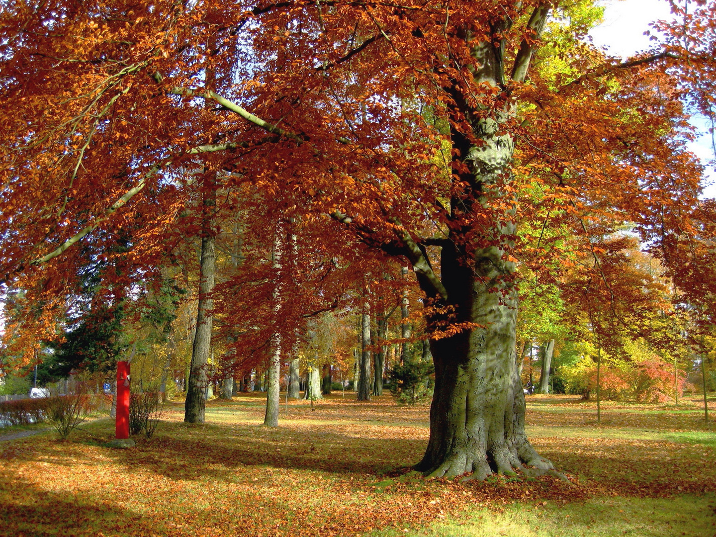 Münchberger Stadtpark im Oktober