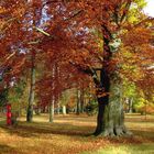 Münchberger Stadtpark im Oktober