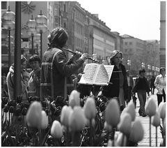 München 1980.