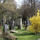 München - Alter Südfriedhof (1)