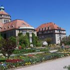 münchen der botanische garten