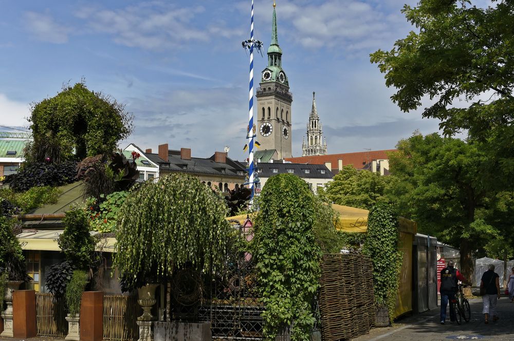 MÜNCHEN - Der Maibaum steht noch ! - 