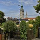 MÜNCHEN - Der Maibaum steht noch ! - 