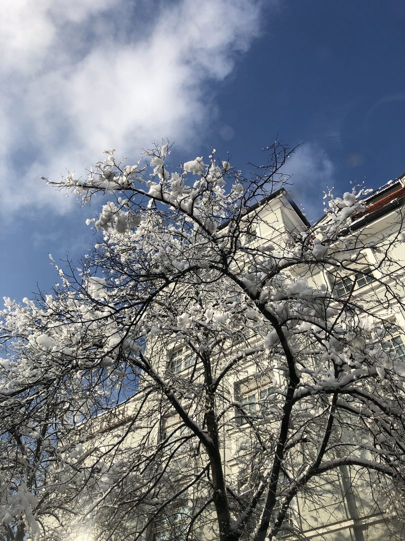 München - ein wunderschöne Tag