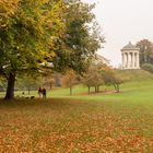 München - Englischer Garten - 01