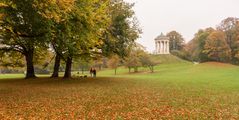 München - Englischer Garten - 01