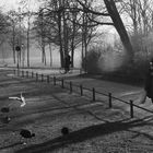 München-Englischer Garten 2