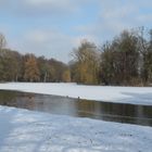 München, Englischer Garten (2)