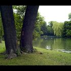 München, Englischer Garten 2