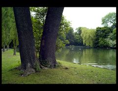 München, Englischer Garten 2