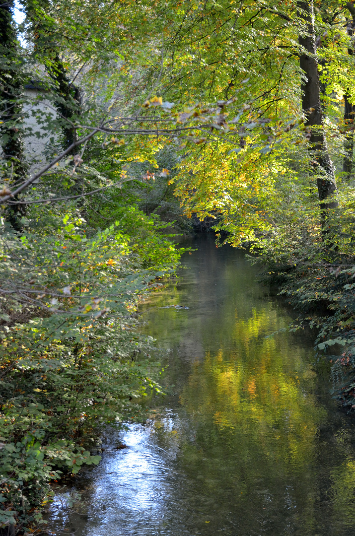 München Englischer Garten - Eisbach