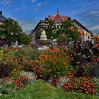 MÜNCHEN   - Gärtnerplatz -