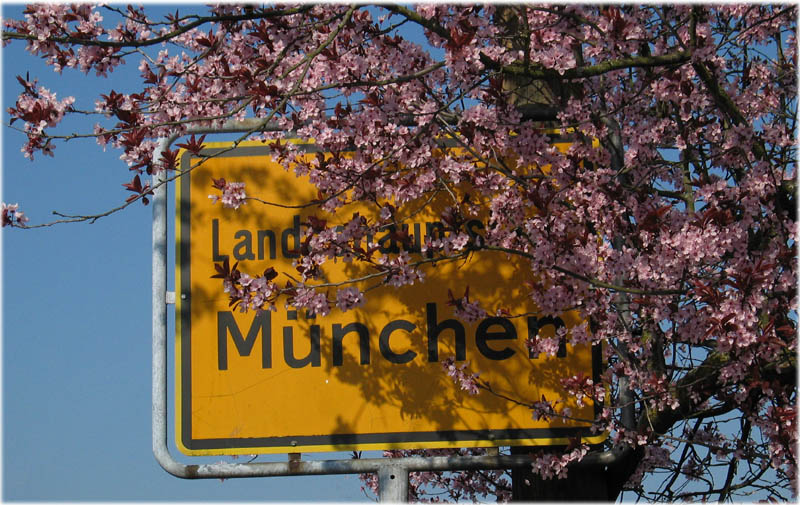 München im Frühling