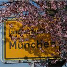 München im Frühling