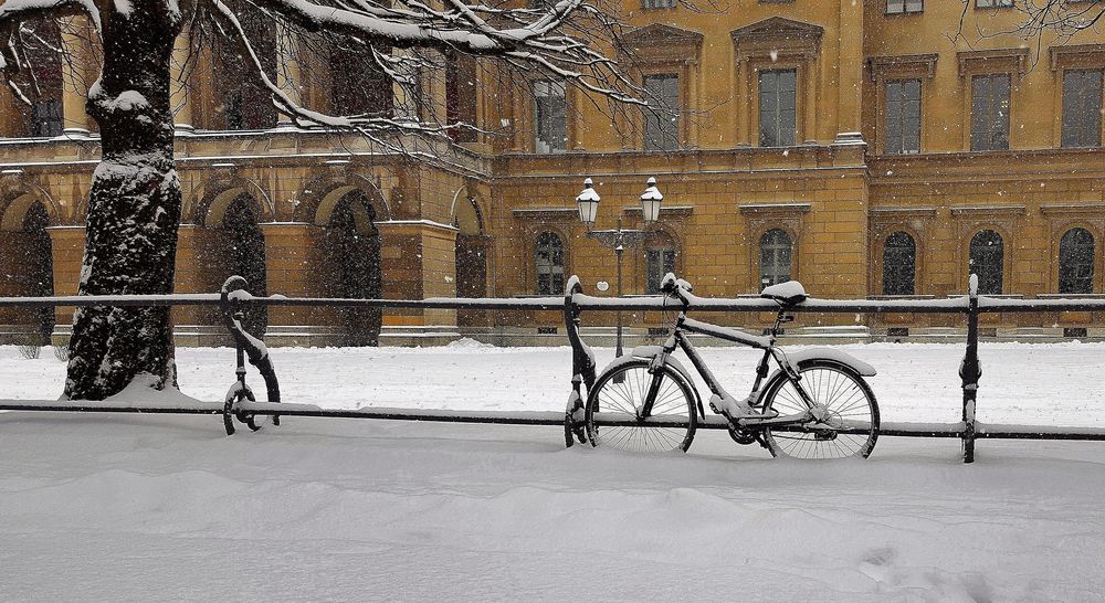 München,  Januar 2017