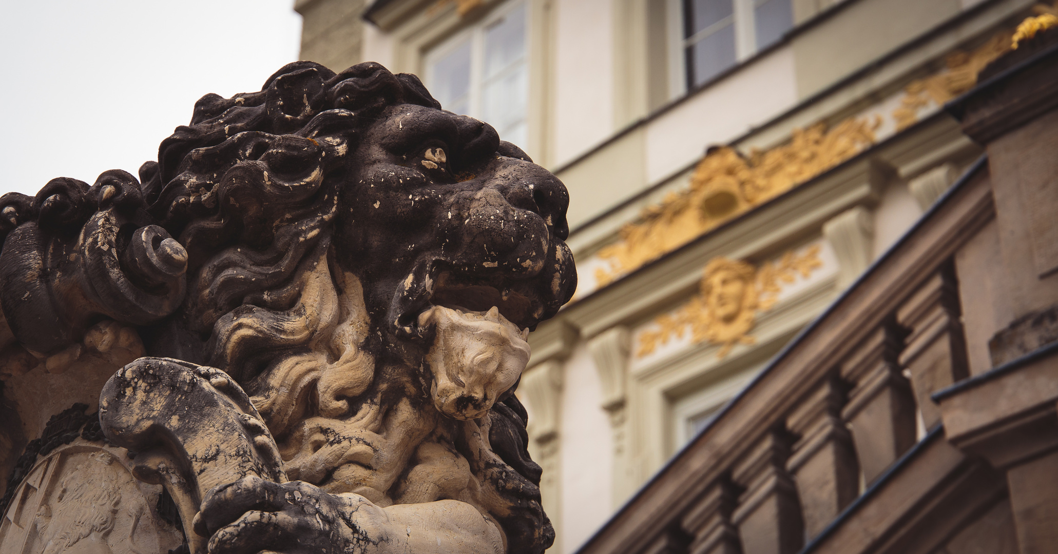 München | Majestätischer Löwe