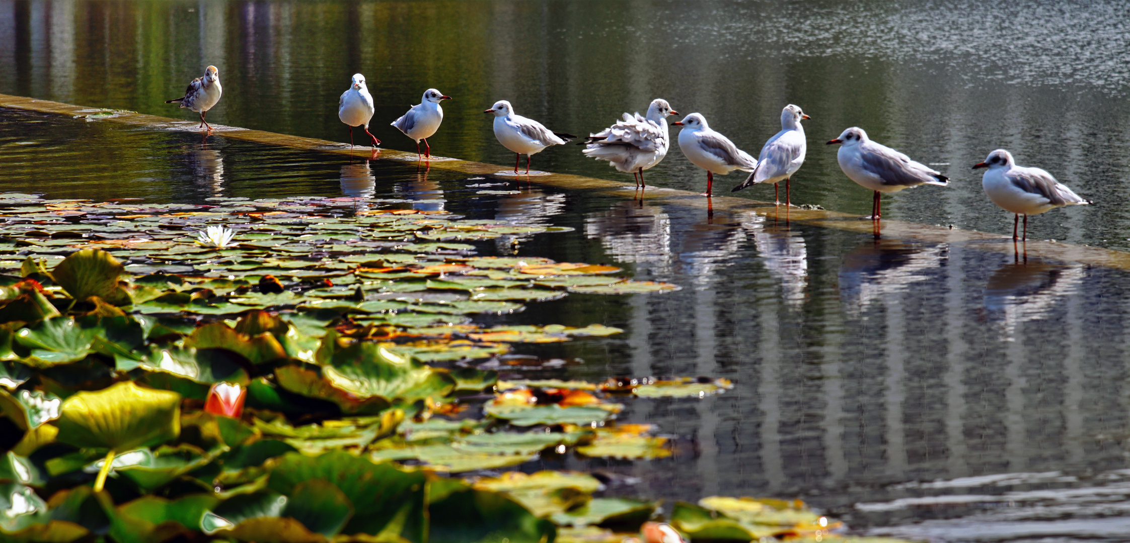 MÜNCHEN   - Messesee -