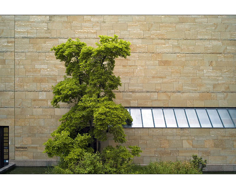 München, Neue Pinakothek