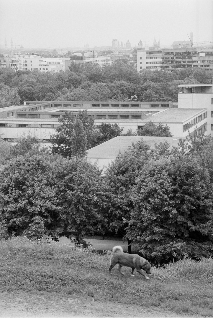 München-Olympiapark