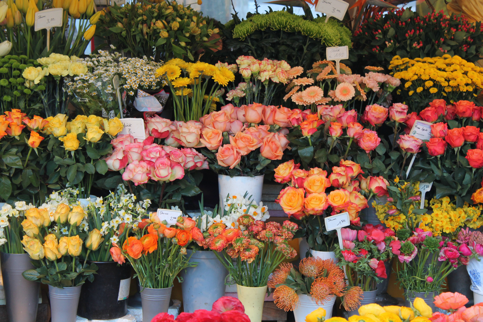 München, Viktualienmarkt 26.03.2016