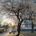 München/Bogenhausen im Frühling