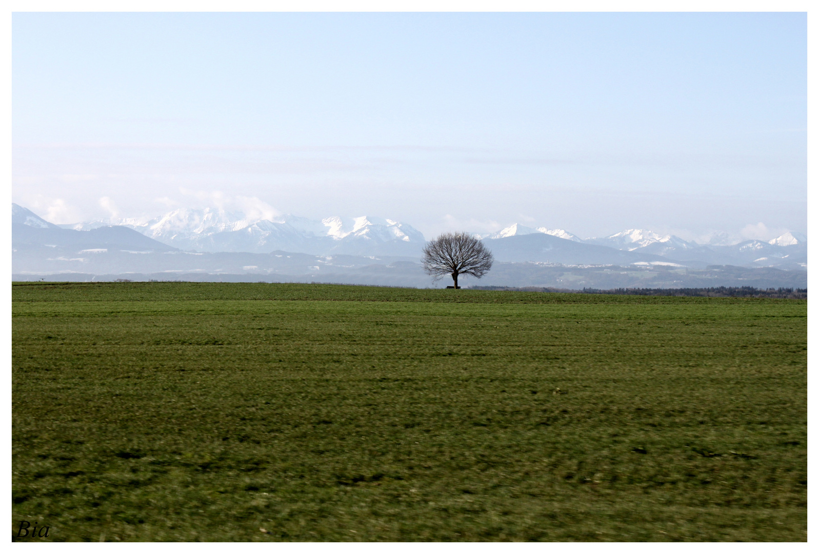 Münchener Berge