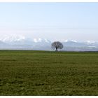 Münchener Berge