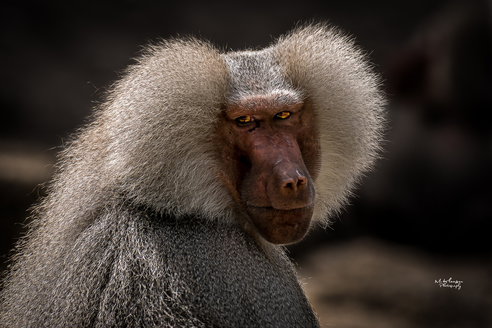 Münchener Tierpark Hellabrunn