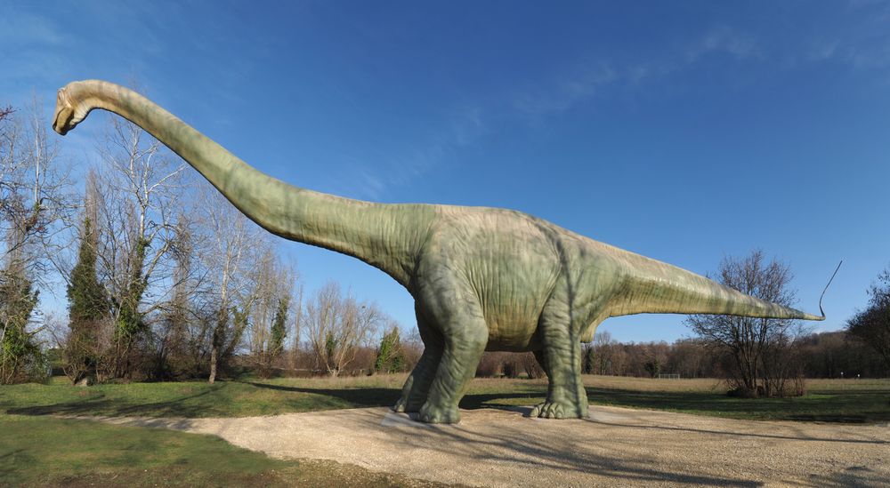 Münchenstein Grün 80, Dinosaurier Foto & Bild natur, zoo, tiere