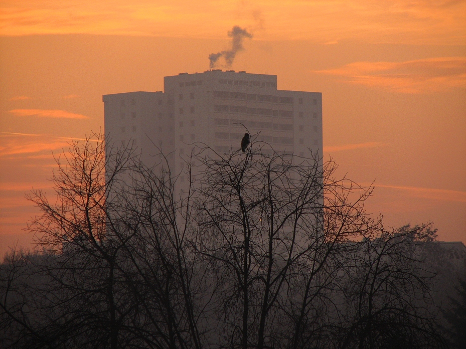 Münchfelder Morgenrot